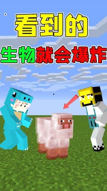 趣味生活爆料怎么做的视频,轻松制作短视频的实用指南  第1张