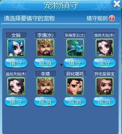 宠物大爆料视频,揭秘萌宠背后的趣味故事  第1张